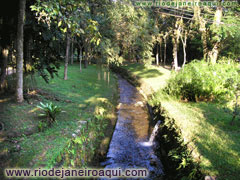 Cena do Jardim Bot&acirc;nico | Riacho, gramados e arvores