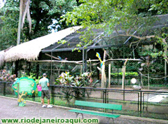 Viveiros de araras, papagaios e p&aacute;ssaros | Zool&oacute;gico do Rio