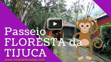 Floresta da Tijuca | V&iacute;deo