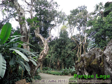 Belos e sinuosos caminhos dos jardins do Parque Lage, cercados por densa vegetação