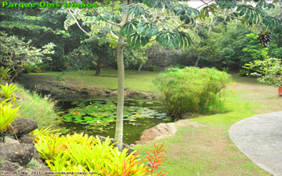 Parque Dois Irm&atilde;os | Jardins e lago com plantas aqu&aacute;ticas