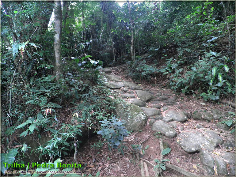 Trilha da Pedra Bonita | Caminho em pedras do tempo colonial ou do Império Trilha da Pedra Bonita | Caminho em pedras do tempo colonial ou do Império